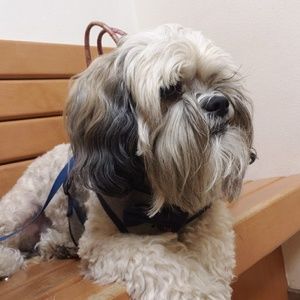 Meet your Posher, Robin